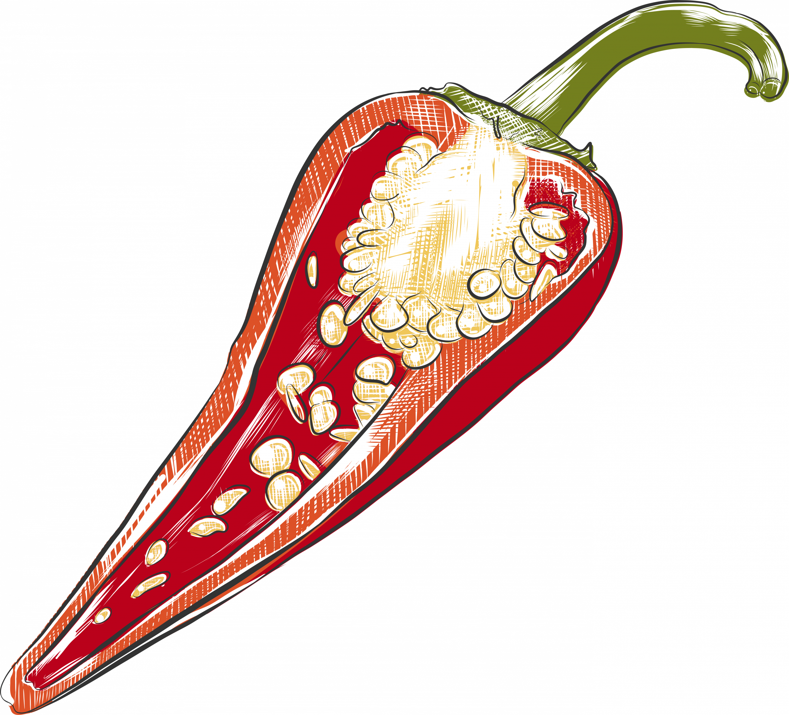red pepper illustration