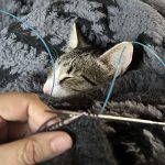 Brenda knitting while Diego sleeps in his nest.