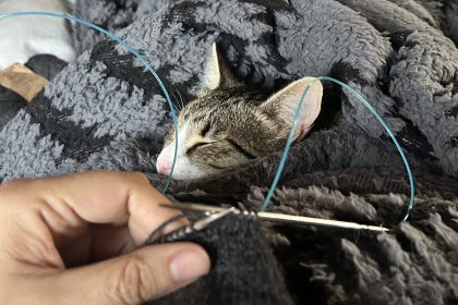 Brenda knitting while Diego sleeps in his nest.