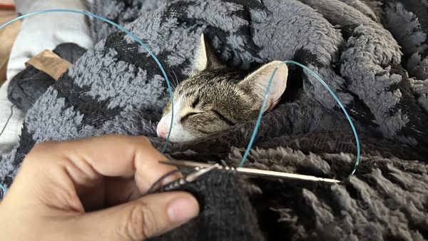 Brenda knitting while Diego sleeps in his nest.
