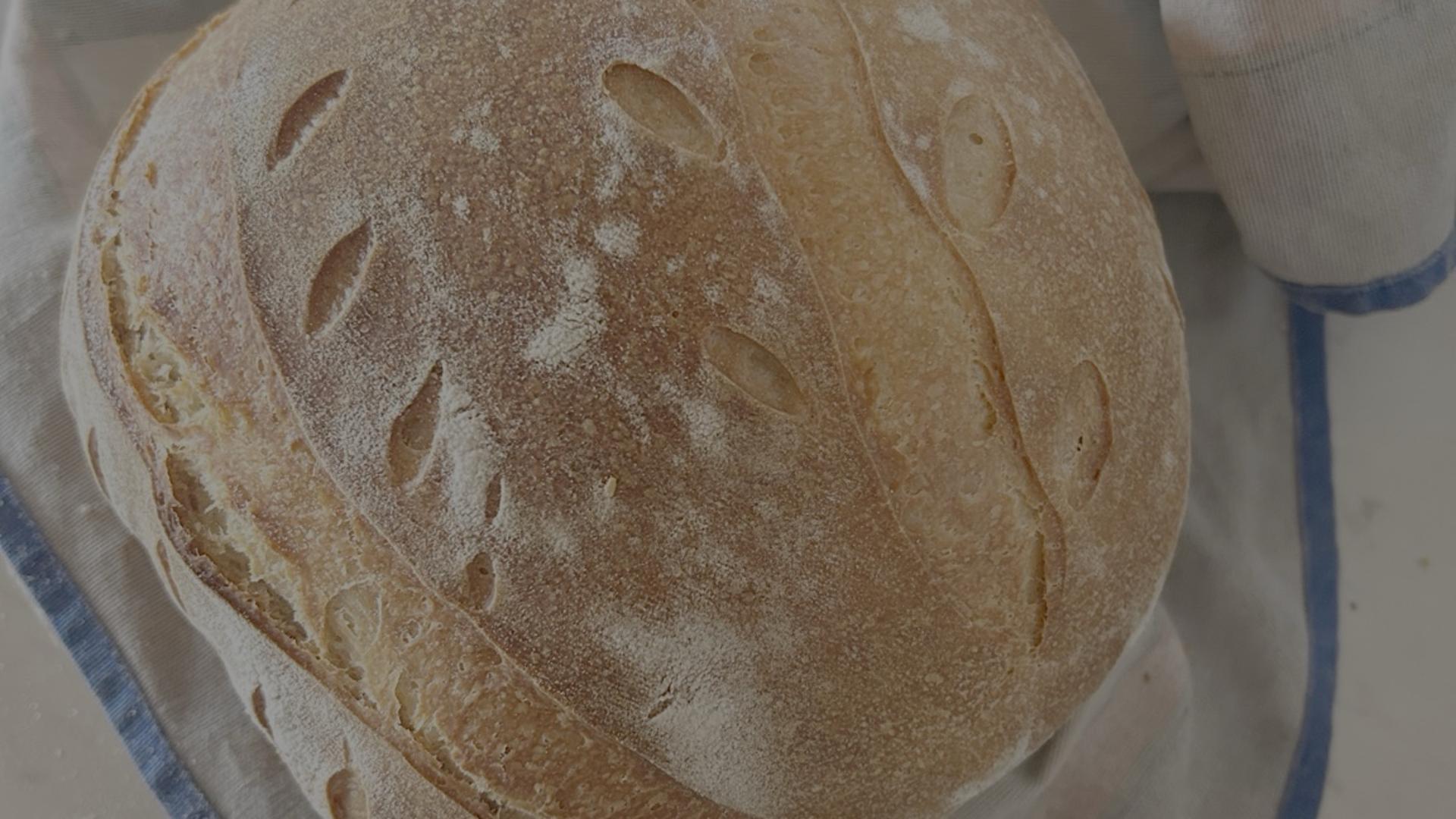 freshly made sourdough bread