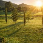 the golden light of umbria, italy