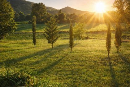 the golden light of umbria, italy