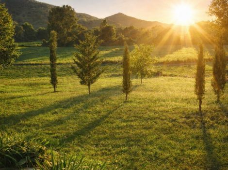 the golden light of umbria, italy