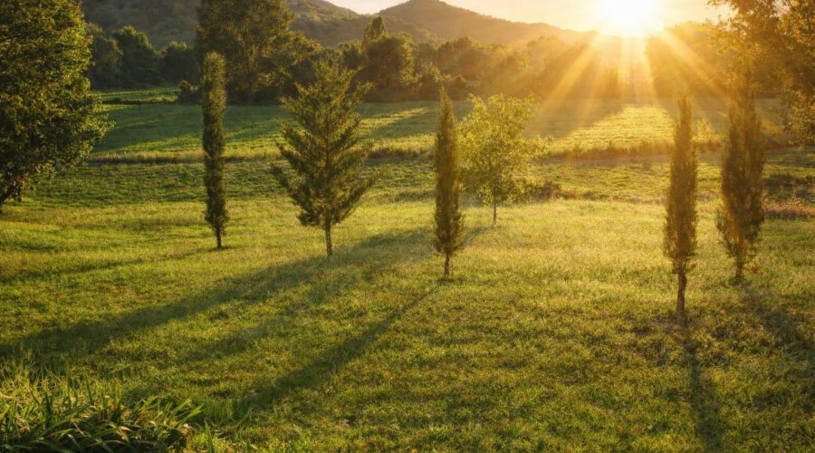 the golden light of umbria, italy
