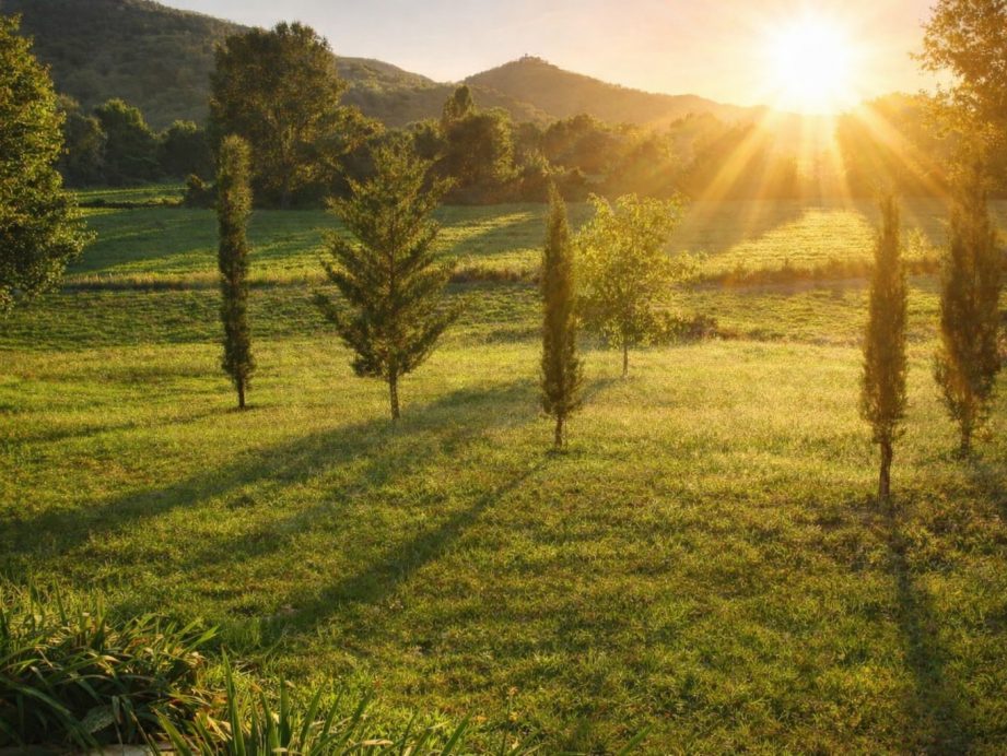 the golden light of umbria, italy